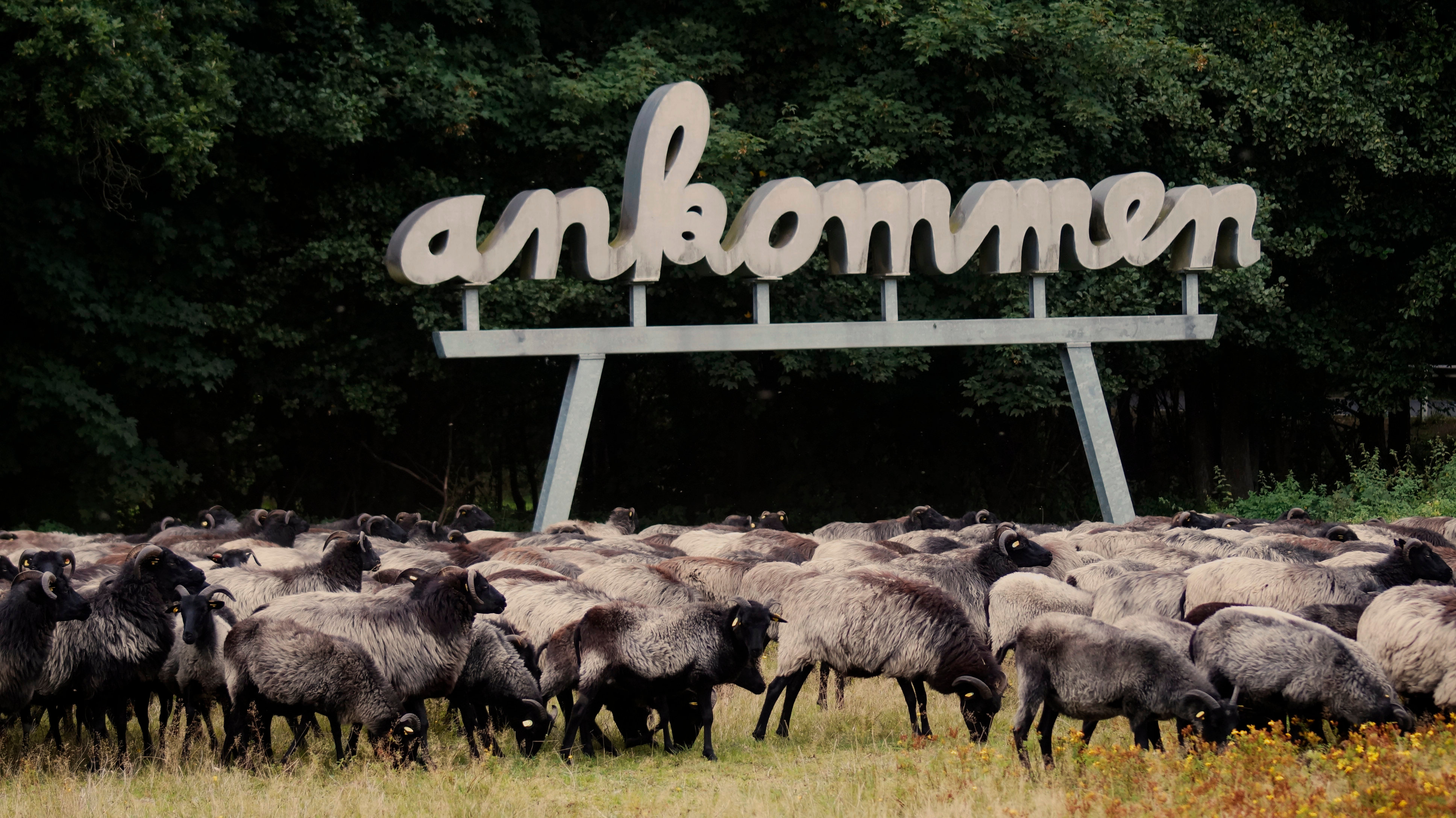 Das Kunstwerk Ankommen in Neuenkirchen