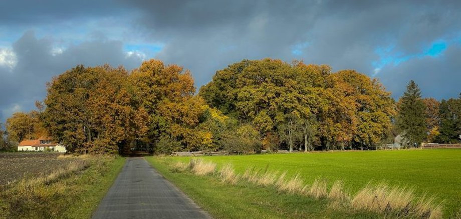 Brochdorf Straße Am Sand