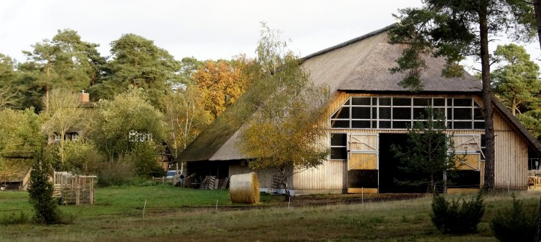 Giebelansicht neuer Schafstall