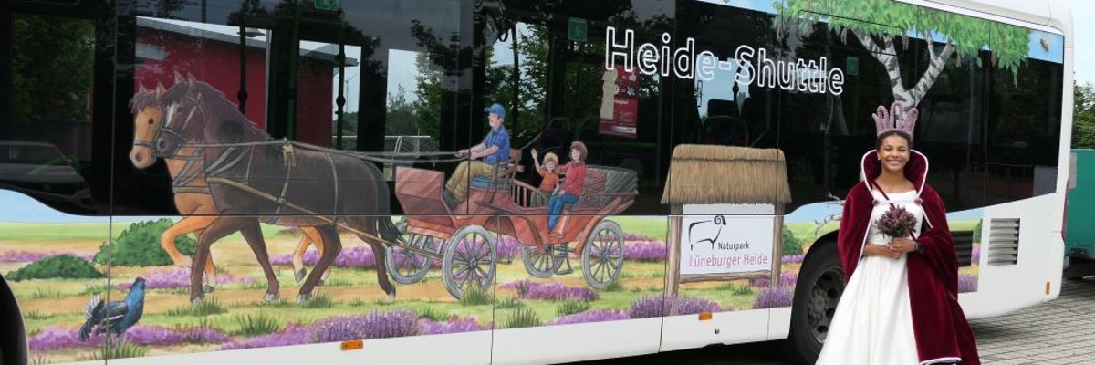 Heidekönigin mit Heide-Shuttle-Bus