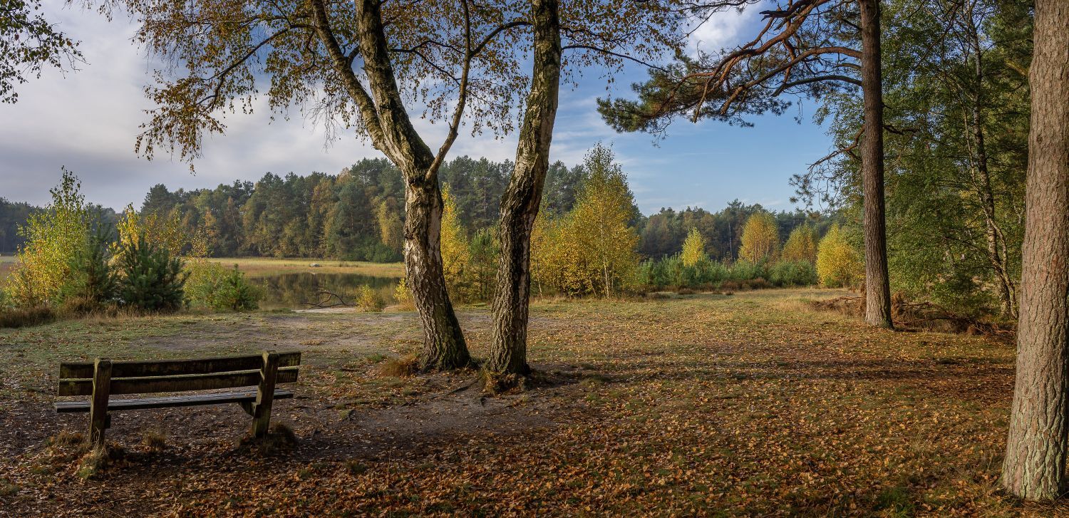 Bank am Stichter See Ausblick auf Stichter See