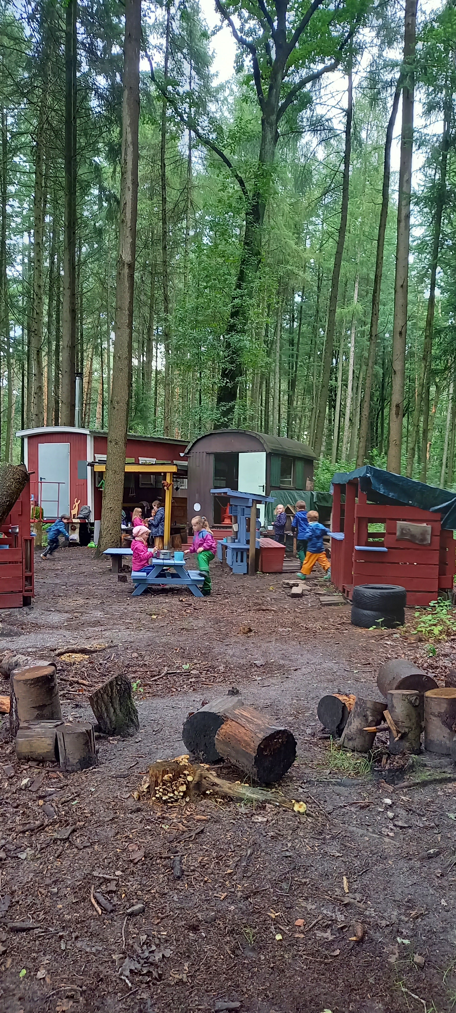 Waldgruppe Erdmännchen