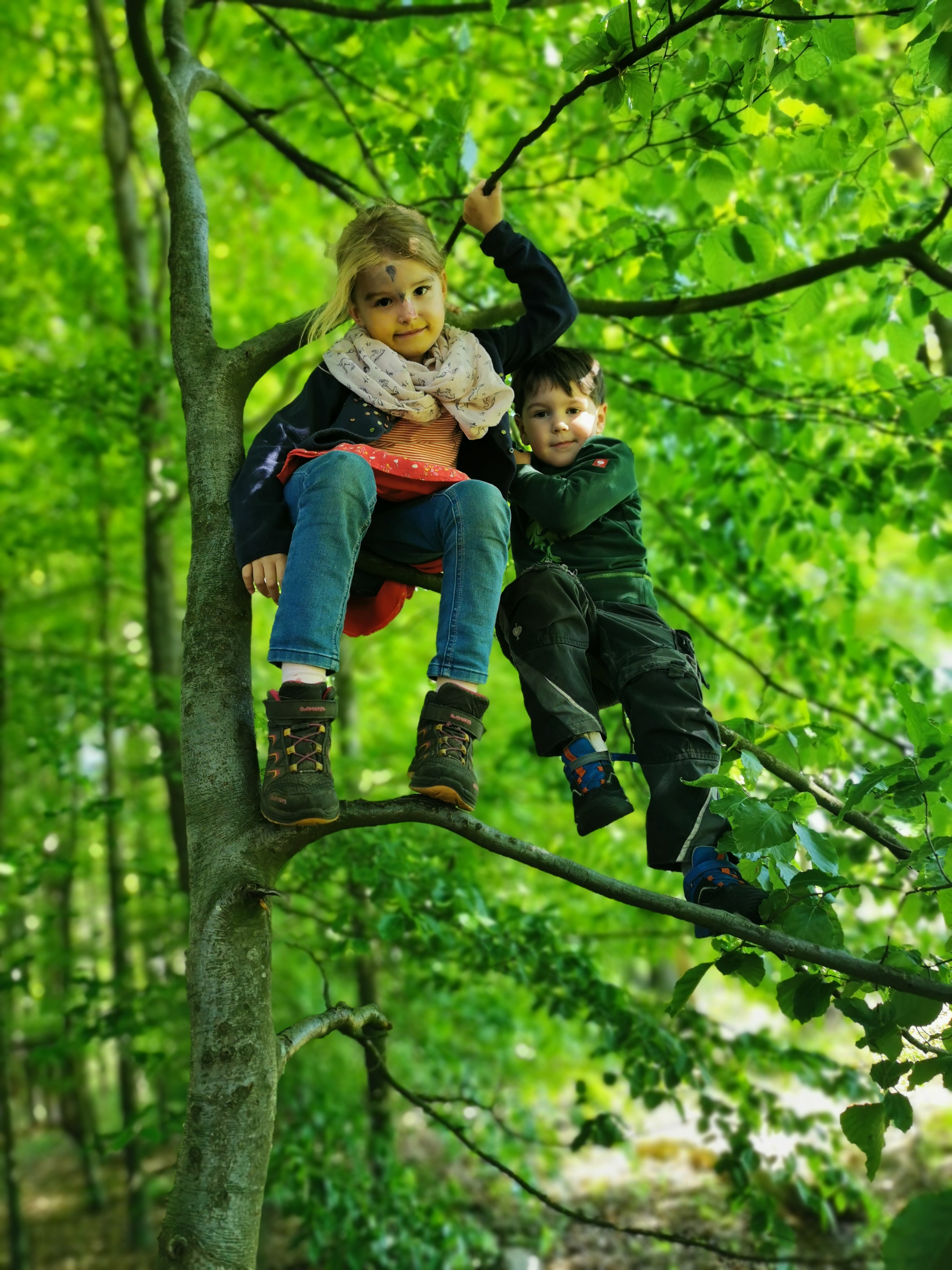 Kinder in Baum geklettert