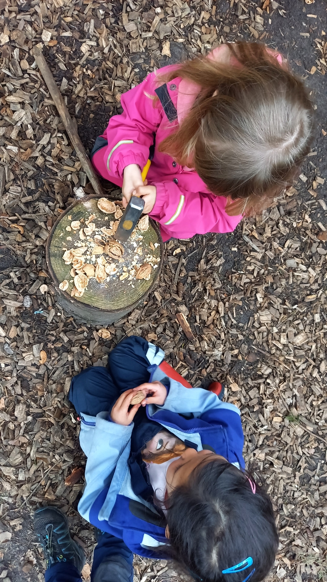 Kinder schlagen Nüsse auf