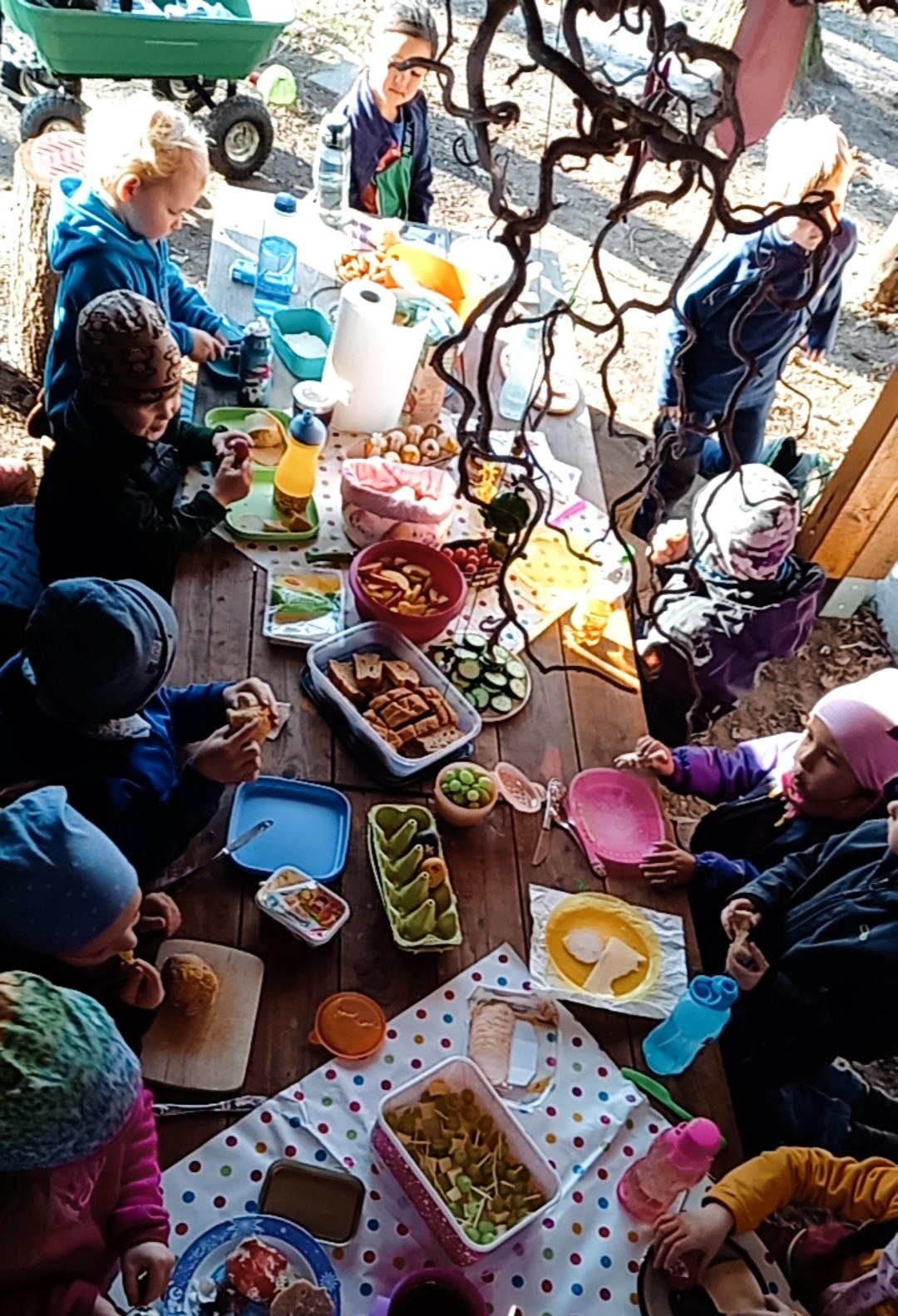 Frühstück Erdmännchen