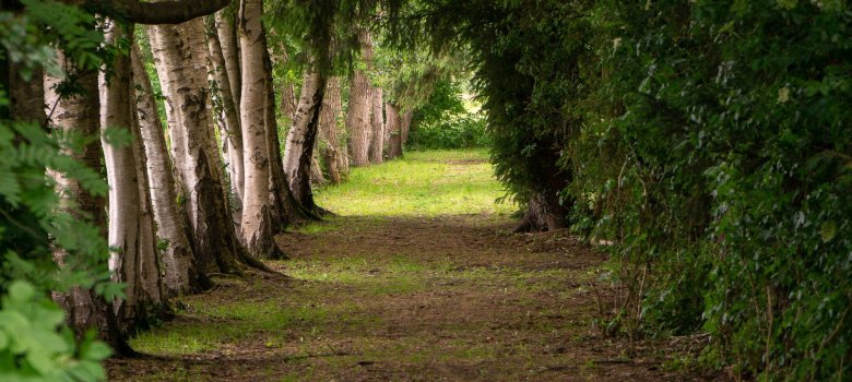 Wanderweg am  Mehlandsbach