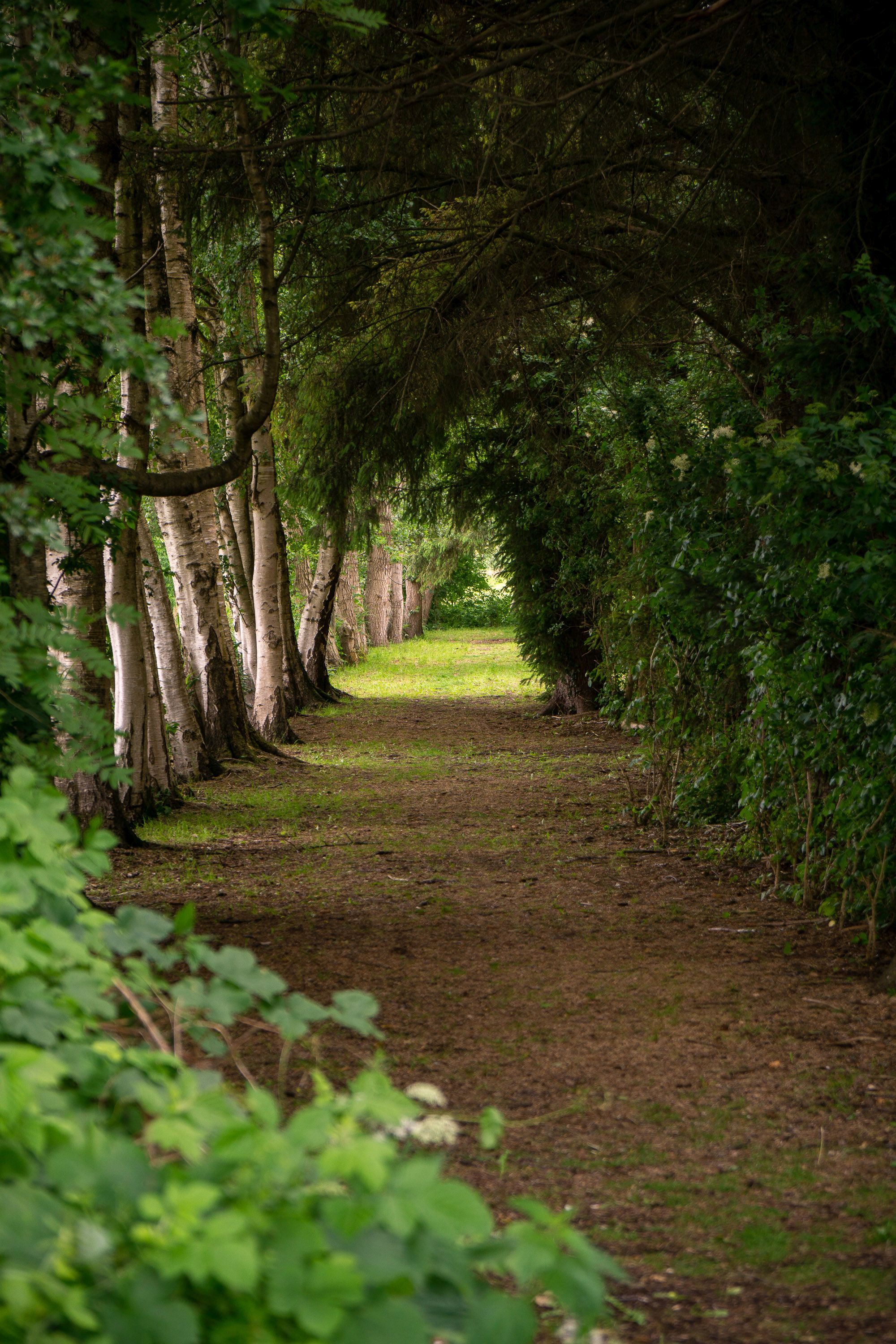 Wanderweg auf altem Bahndamm