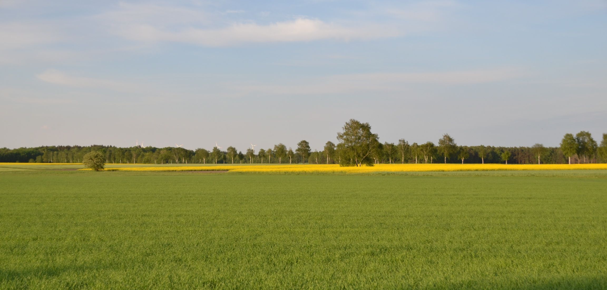 Ausblicke in die Behninger Gemarkung Ausblicke