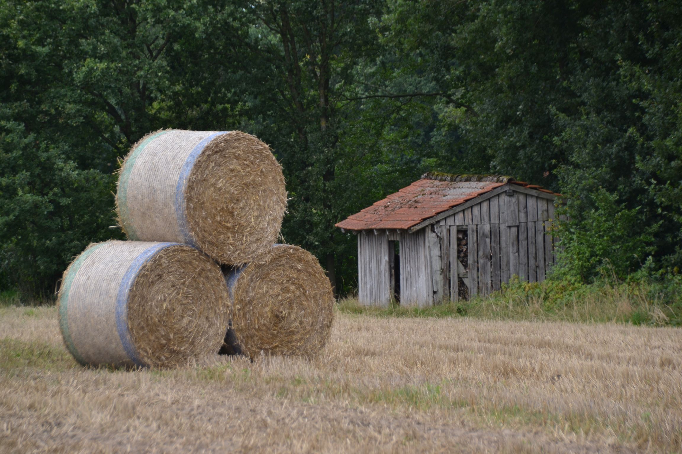 Strohballen Strohballen und Weideschuppen