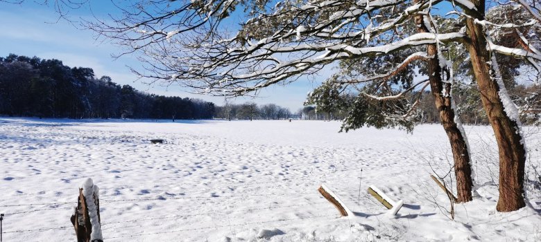 Winter in Behingen