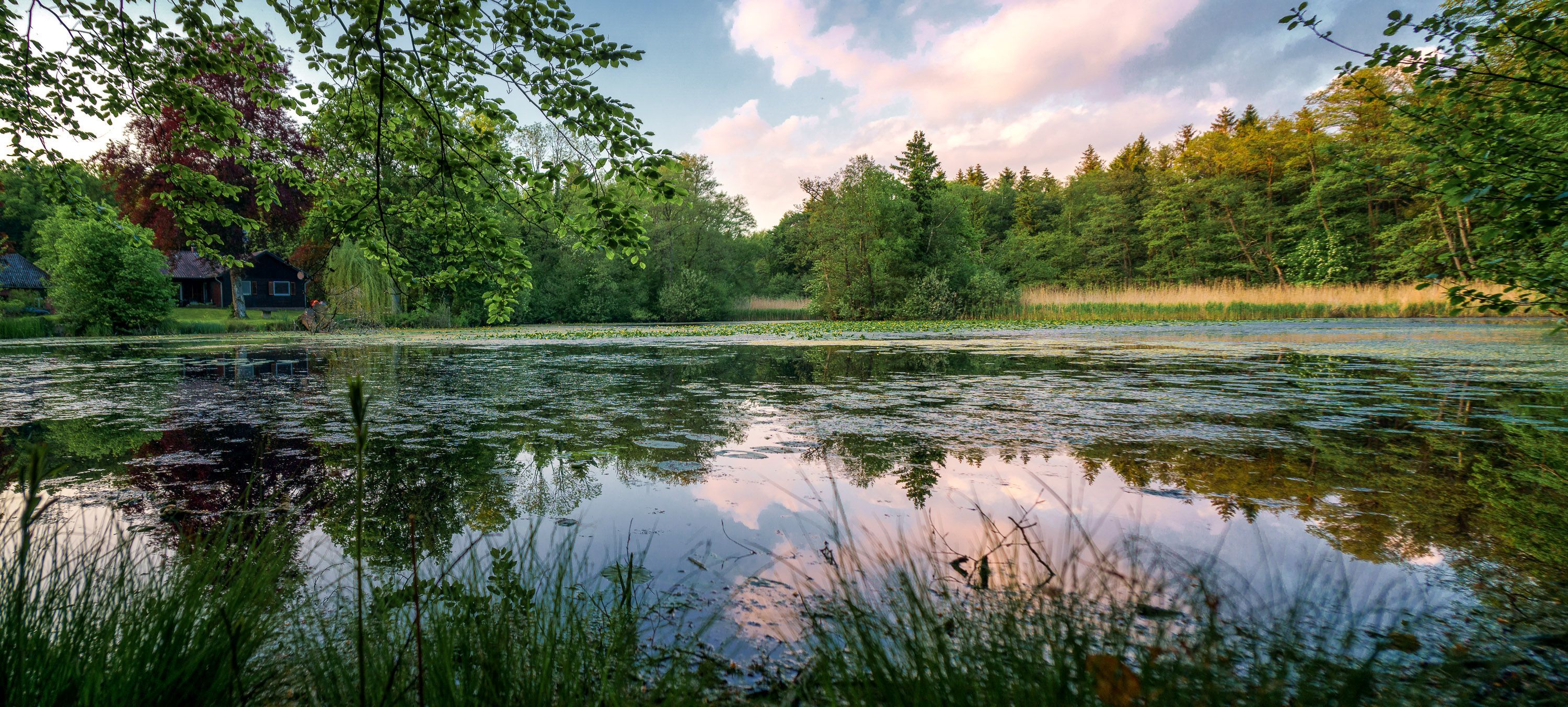 Teich in Rutenmühle Idyllischer Teich in Rutenmühle