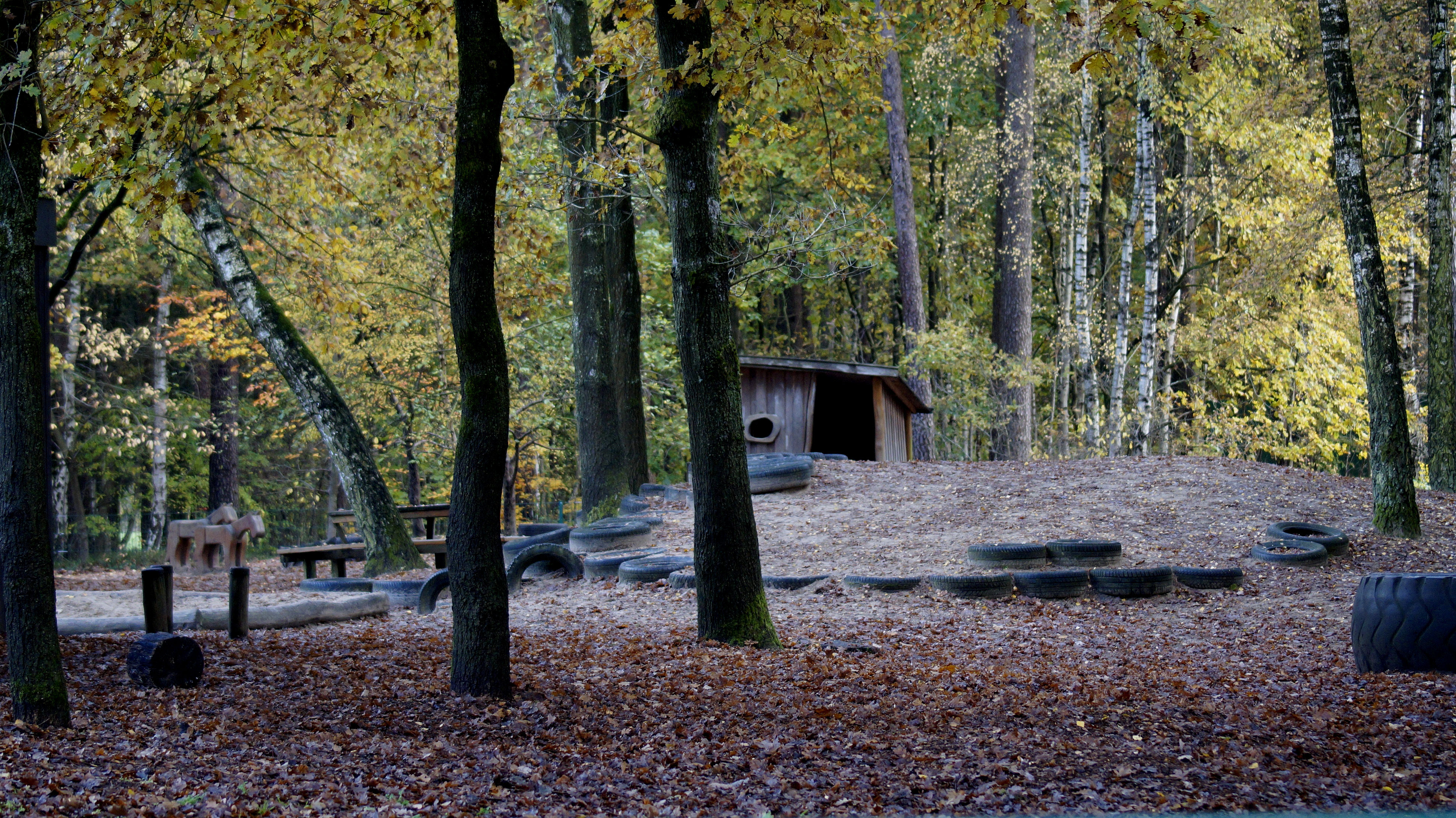 Gelände des Waldkindergartens Waldkindergarten Delmsen
