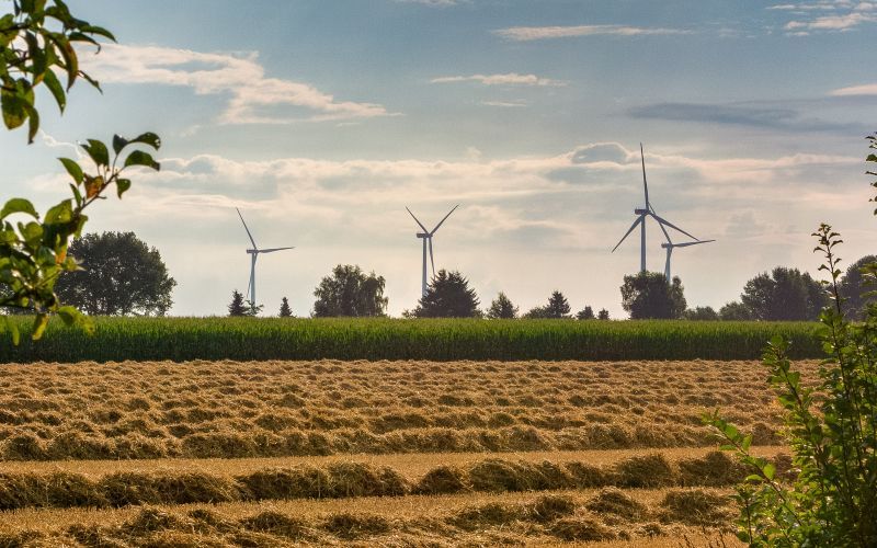 Strohernte in Delmsen Strohernte in Delmsen