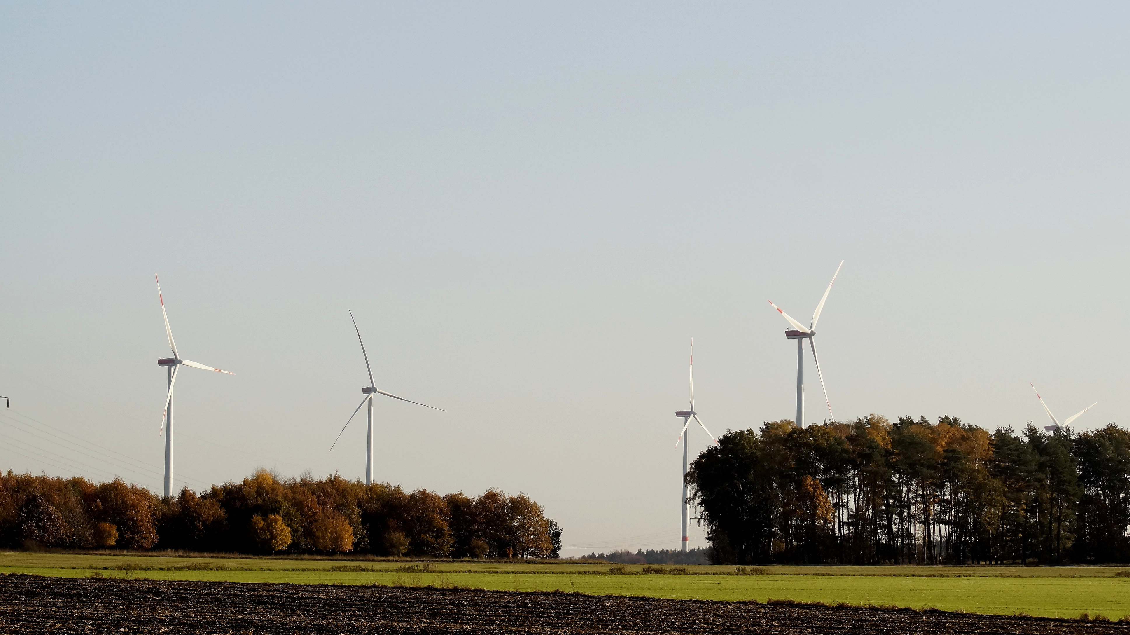 Windräder in der Gemarkung Ilhorn