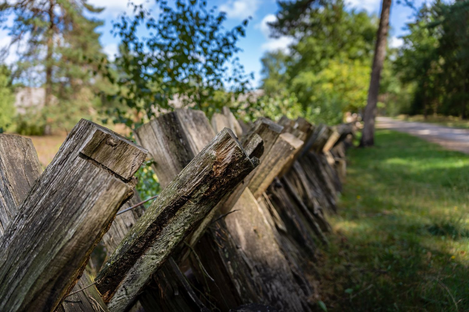 Eekenboltentuun am Schafstall